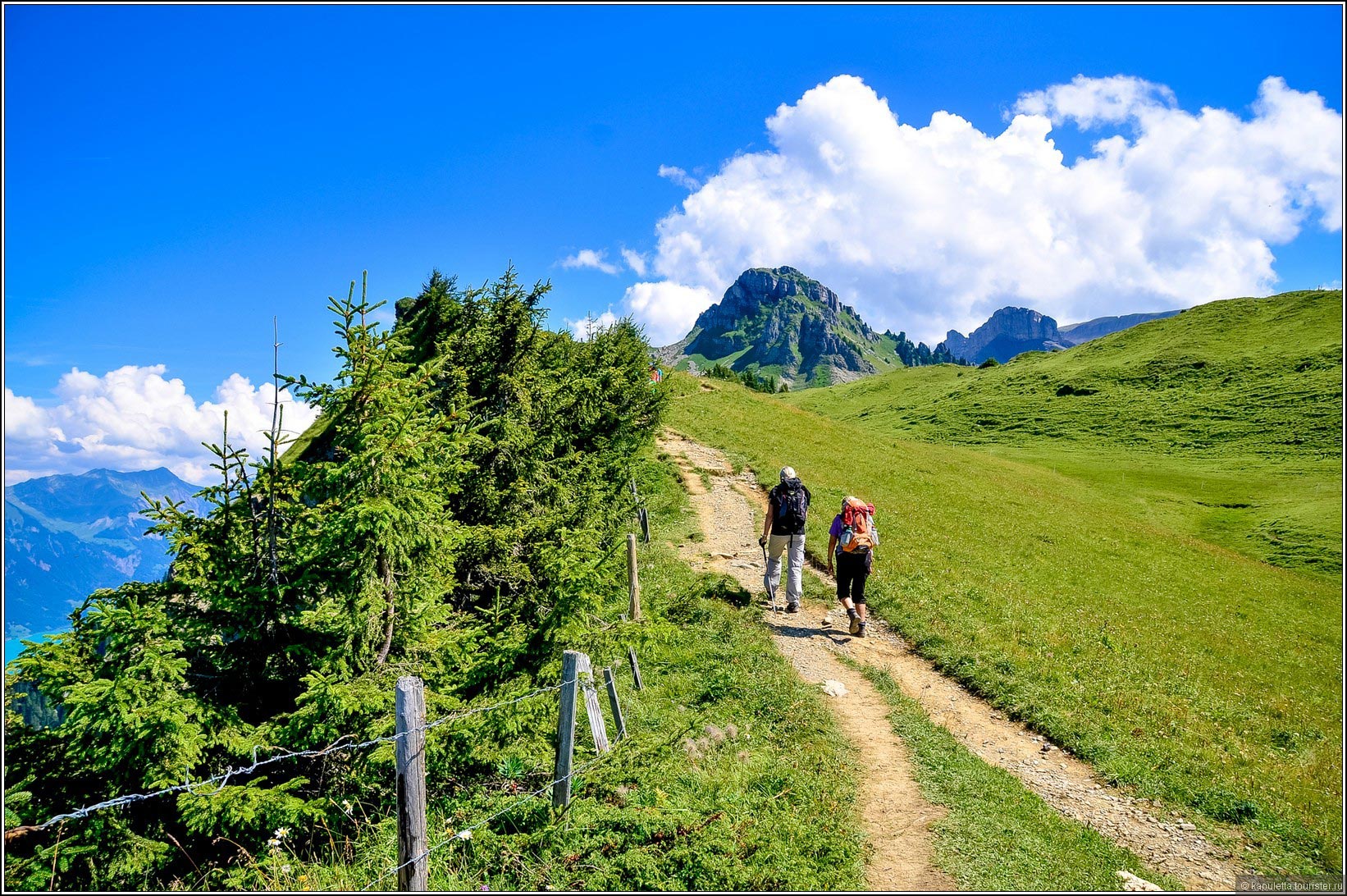 Schynige Platte (Wilderswil)